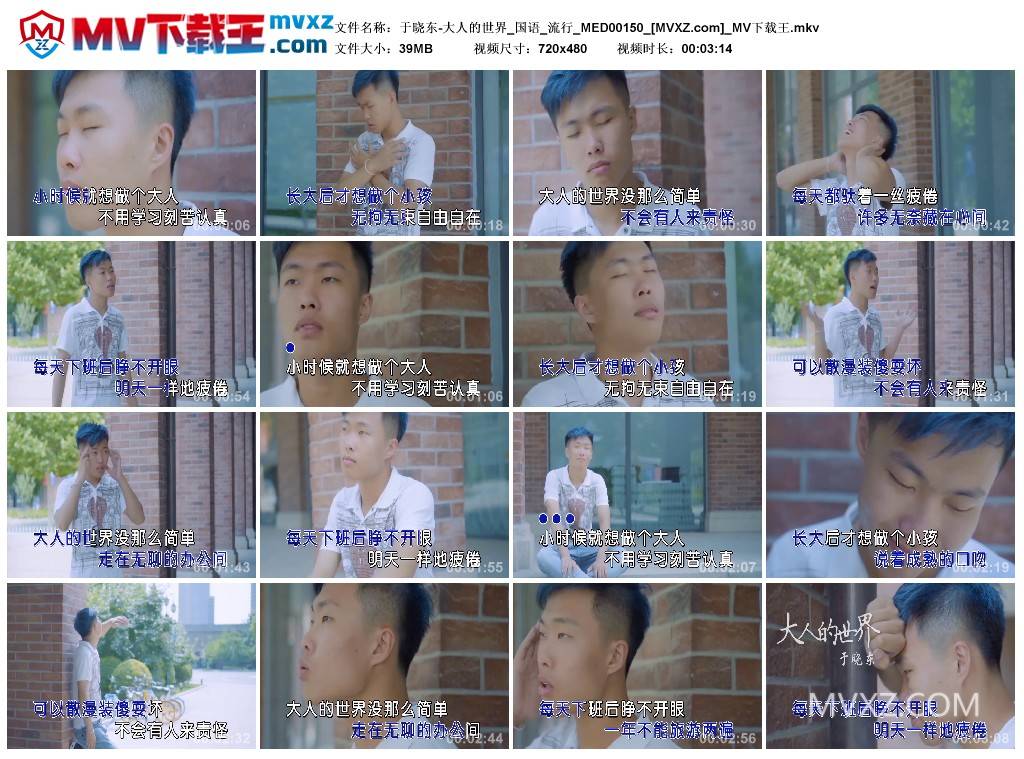 于晓东-大人的世界_国语_流行_MED00150